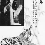 2010年 新年明けましておめでとうございます!