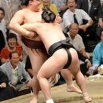 日馬富士強し！　１３戦全勝で綱獲りに前進！