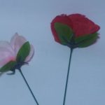 瞬間に炎が花になるマジック、すごくないですか！！