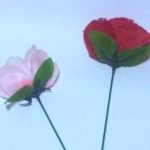 イントロマジックに一瞬閃光とともに花が咲くマジックは、どお～？