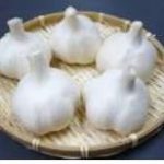 免疫力アップににんにくが最高！